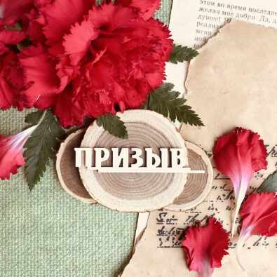 Надпись "Призыв"(60*11 мм) Надпись "Призыв"(60*11 мм)