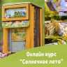 Онлайн курс альбом "Солнечное лето" 