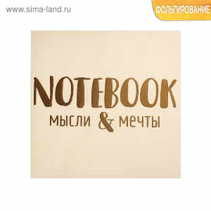 Наклейка‒переводка с фольгированием My notebook, 10 × 10 см