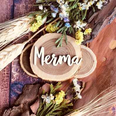 Надпись "Мечта"(47*19 мм) Надпись "Мечта"(47*19 мм)